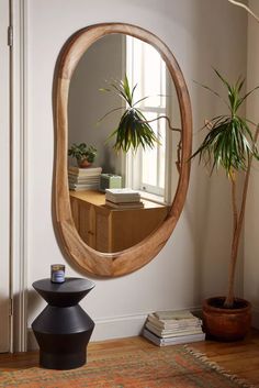 a mirror hanging on the wall next to a potted plant in a living room