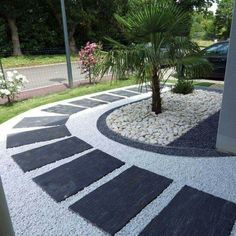 a small palm tree in the middle of a circular garden area with rocks and gravel