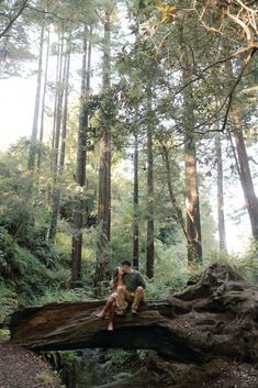 a man and woman sitting on a fallen tree in the middle of a wooded area