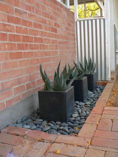 three black planters with succulents in front of a brick wall