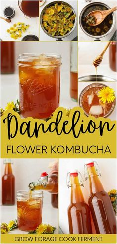 flowers kombucha recipe in jars with text overlay that reads, dandelion flower kombucha