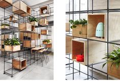 two pictures side by side, one with shelves and the other with plants