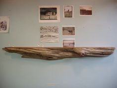 a large piece of driftwood is mounted on the wall next to pictures and photos