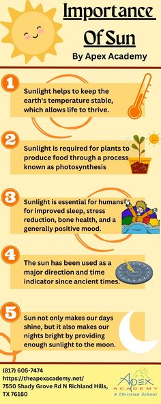 infographic (importance of sun) Sun Science Preschool, Sun Science Project, Teaching About The Sun, Sun Activities For Kids, Sun Facts For Kids, Sun Information, Sun Facts, Sun Science, Sun Activity