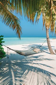 LIVE A LIFE OF TRAVEL Best Resorts In Maldives, Maldives Resorts, Travel Maldives, Maldives Holidays, Maldives Hotel, Dream Vacation Spots, Maldives Resort, Maldives Island