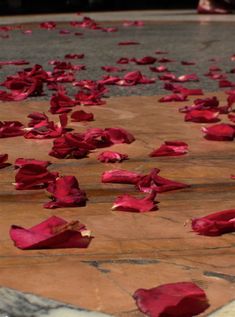 red petals on the ground in front of a person's feet and footpath