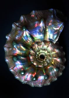 an image of a flower that looks like it is made out of glass and has iridescent colors