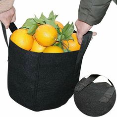 1-20 Gallon Grow Bags Aeration Fabric Planter Root Growing Pots Container Garden Tote, Best Deals, Free Shipping