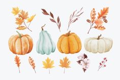 watercolor pumpkins and leaves on a white background