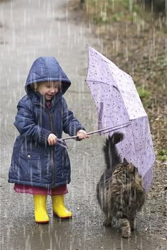 untitled ~ Rain ~ child with umbrella holding over the cat Under My Umbrella, Kitty Kitty, Pusheen, Crazy Cat, Kitty Cats, 귀여운 동물, Crazy Cat Lady, In The Rain