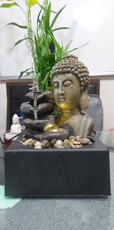 a buddha statue sitting on top of a pile of rocks next to a potted plant