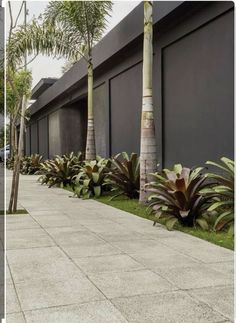 the side of a building with trees and plants in front of it on a sidewalk