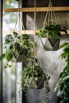 three hanging planters with plants in them