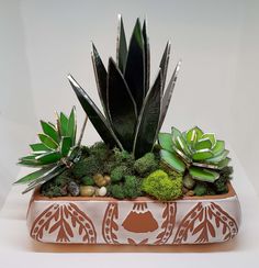 succulents and other plants are arranged in a decorative planter