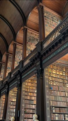 the inside of a library with many bookshelves filled with lots of books and statues