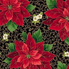 QT Fabrics Poinsettia Symphony Poinsettia And Scroll Black Fabric Qt Fabrics, Forest Fabric, Flannel Fashion, Felt Books, Cross Stitch Needles, Thread & Yarn, Block Of The Month, Wool Applique, English Paper Piecing