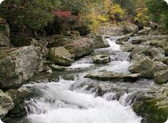 a river running through a forest filled with lots of rocks and trees in the background