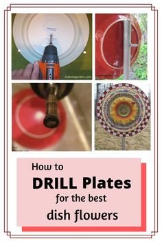 how to drill plates for the best dish flowers