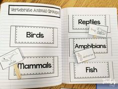 an open book with animals and fish on it, which is part of a writing activity