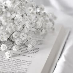 an open book with white flowers on it