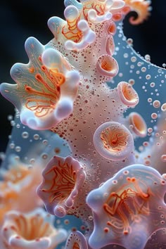 an orange and white sea anemone with water droplets on it's surface