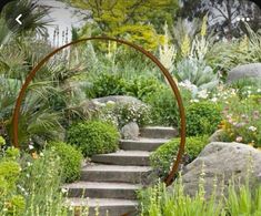 a garden filled with lots of plants and rocks