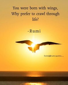 a bird flying over the ocean at sunset with a quote from rumi that reads, you were born with wings, why prefer to crawl through life?