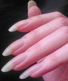 Nail Filler, Long Nail Beds, Nails Shape, Long Natural Nails, Natural Acrylic Nails, Long Nail, Nails Only, Dream Nails, Healthy Nails