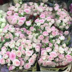 many pink and white roses are arranged in the middle of a flower shop display case