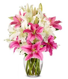 pink and white flowers in a clear vase