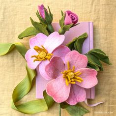 three pink flowers on top of a book with green leaves and ribbons attached to it