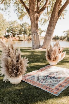 an area rug and two vases sitting on the grass in front of a tree