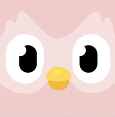 the face of a pink owl with big eyes