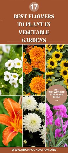 different types of flowers with text overlay that reads 17 best flowers to plant in vegetable gardens