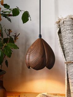 a wooden object hanging from a ceiling next to a potted plant on a table