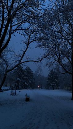 there is a bench in the middle of this snow covered park at night with no one on it