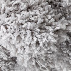 the texture of a sheep's wool is white and gray in this close up photo