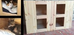 two pictures of cats in wooden crates and one has a cat bed