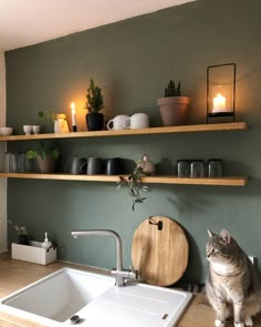 a cat sitting on the counter next to a kitchen sink and some shelves with candles