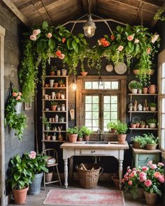 a kitchen with lots of potted plants hanging from the ceiling