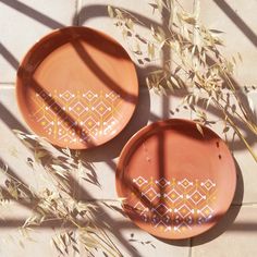 two orange plates sitting on top of a tile floor next to some dry grass and plants