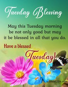 flowers and butterflies with the words, tuesday blessing may this tuesday morning be not only good but