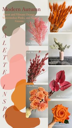 an advertisement for modern autumn flowers and vibrant oranges, pinks and greens in shades of peach