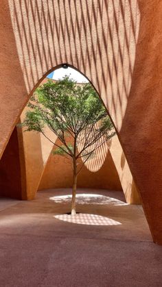 a tree is in the middle of an archway