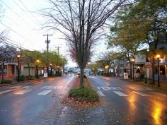 an empty street with trees and buildings on both sides at night in the fall time