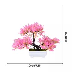 a bonsai tree with pink flowers in a white pot on a table next to a ruler