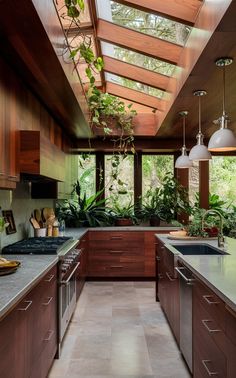 a kitchen with wooden cabinets and an open skylight above the countertop, along with potted plants