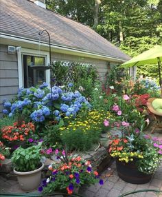 an outdoor garden with flowers and plants in pots