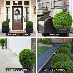 four different views of the front door, patio and landscaping area with grass in pots