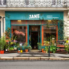 an outside view of a flower shop with potted plants